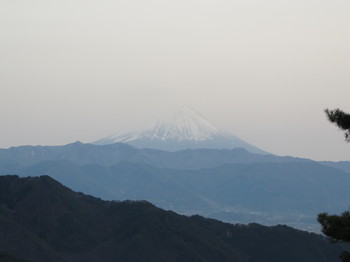 67パノラマ台 富士山.JPG